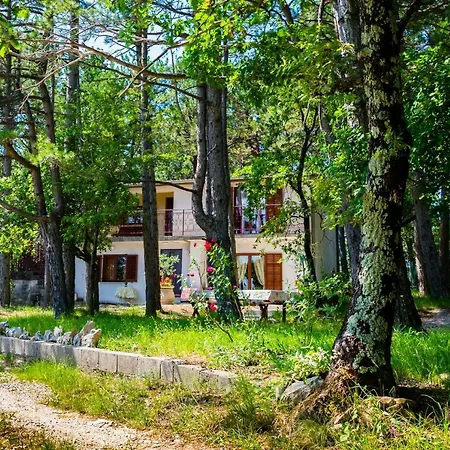 Apartment Peaceful House Pineta Bb