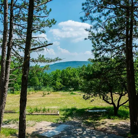 Peaceful House Pineta Bb * Socerga