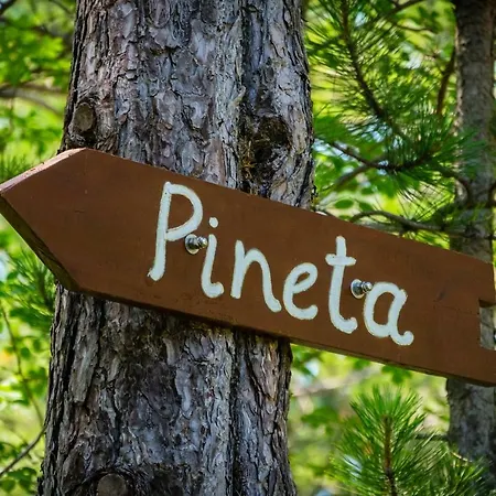 Apartment Peaceful House Pineta Bb *